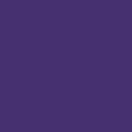 Feather Flannel / Purple