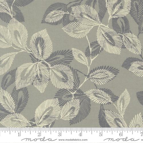 Arabesque / Palm in Sky