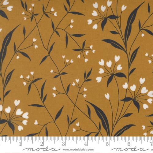 Arabesque / Highland in Golden