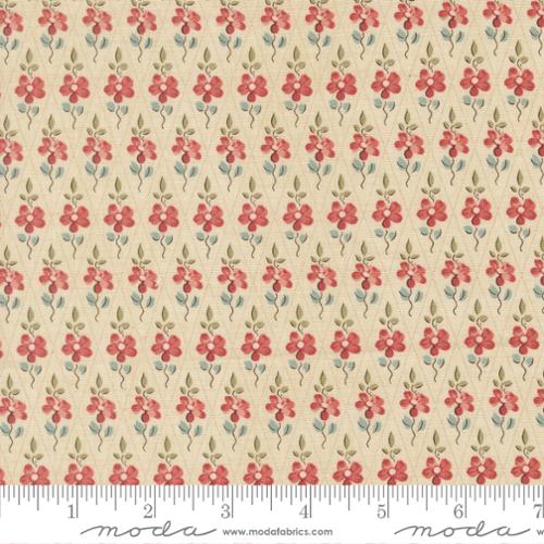Fleur De Paris / Paquerette in Pearl