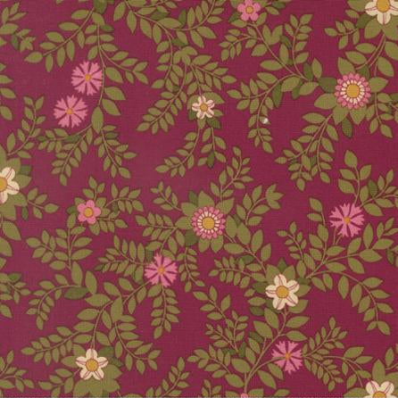 Chelsea Garden / Galivanting Garden in Mulberry