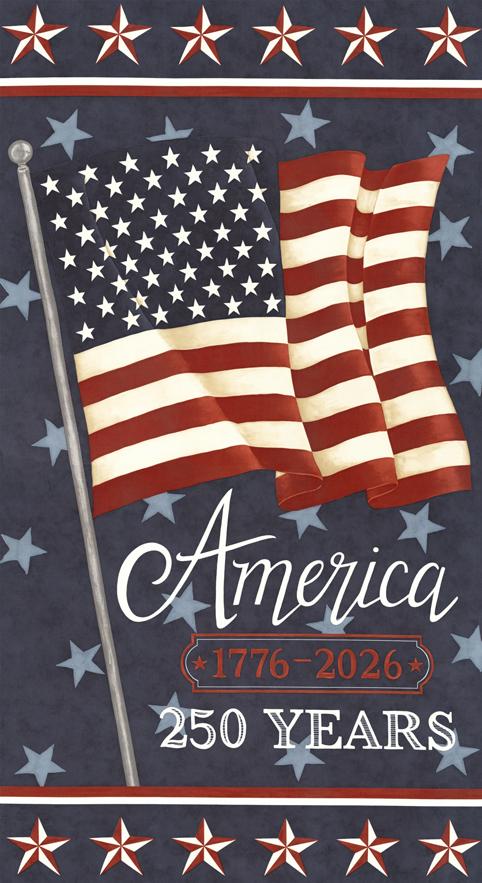 America 250 Years Panel / Blue