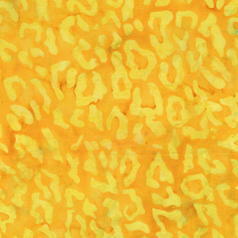 Wild Thing / Cheetah Skin in Tabby