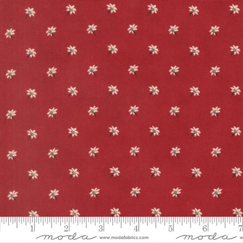 Joyful Gatherings II / Poinsettia in Deep Crimson