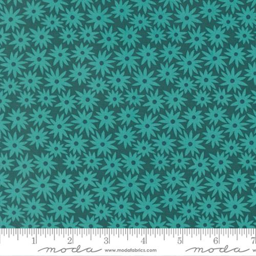 Scenery / Sedum in Dark Teal