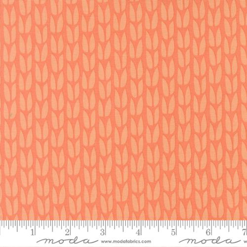 Scenery / Sprout in Coral