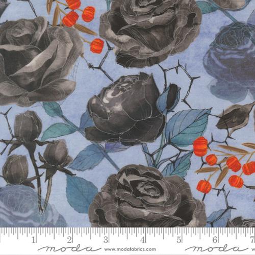 Coven / Large Rose in Sky