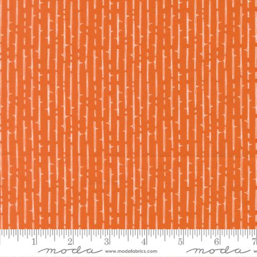 Coven / Thorny Stripes in Pumpkin