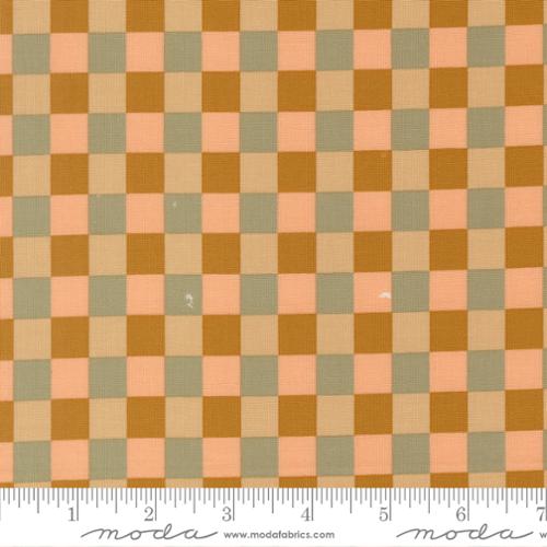 Sunlit Ruins / Gingham in Golden