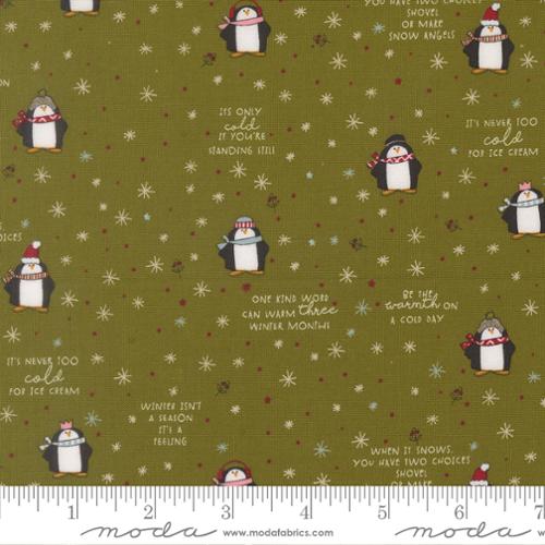 Chilly /  Mr Penguin in Pine