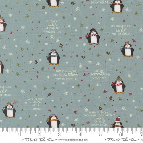 Chilly /  Mr Penguin in Storm