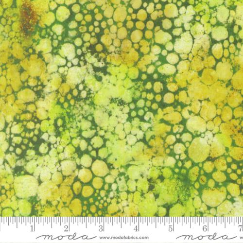Gradients Gallery / Micro Pigments in Lime