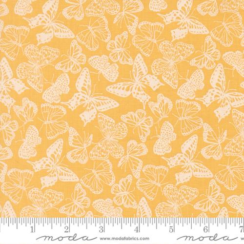 My Secret Garden / Flitter Flutter in Sunflower
