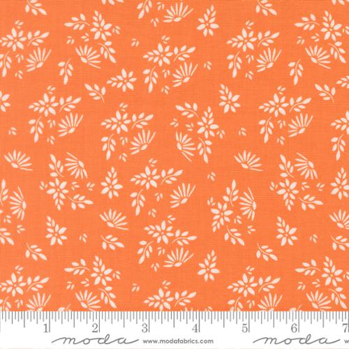 Birch and Willow / Flora in Orange