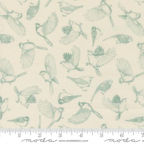 Feather and Forest Bloom / Flock of Feathers in Cloud