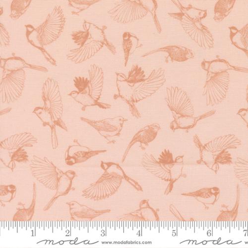 Feather and Forest Bloom / Flock of Feathers in Petal