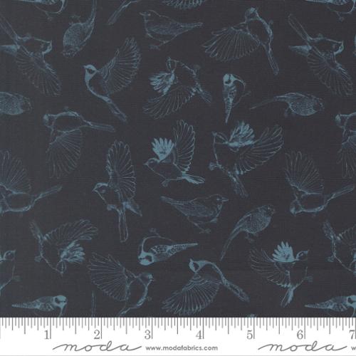 Feather and Forest Bloom / Flock of Feathers in Midnight