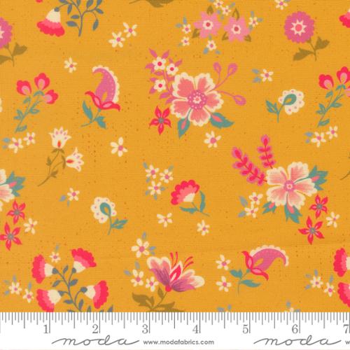 Sitara / Davina in Dijon