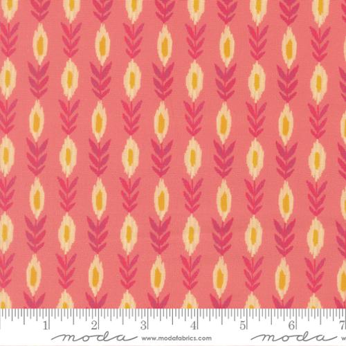 Sitara / Vines in Rose