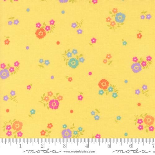 Joysome / Hand Picked in Sunshine
