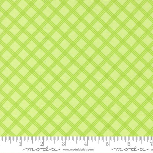 Joysome / Charming Check in Honeydew