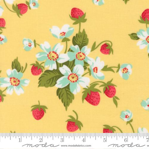 Bloomsberry / In Bloom in Buttermilk