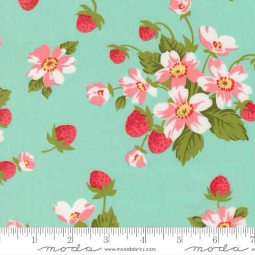Bloomsberry / In Bloom in Aqua