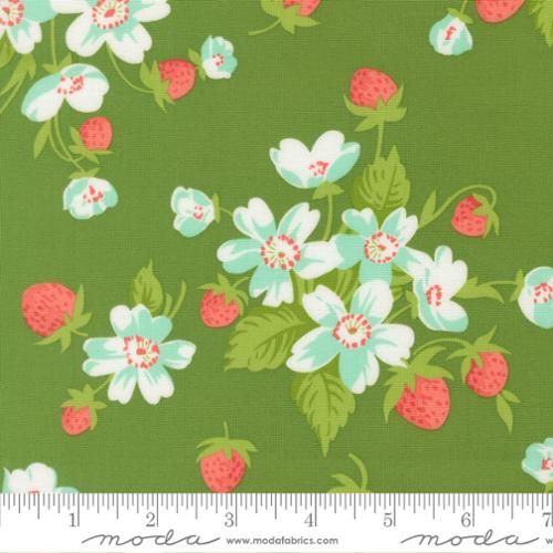 Bloomsberry / In Bloom in Green