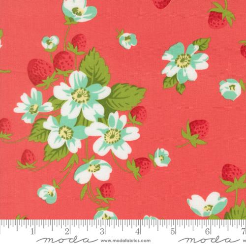Bloomsberry / In Bloom in Nantucket Red