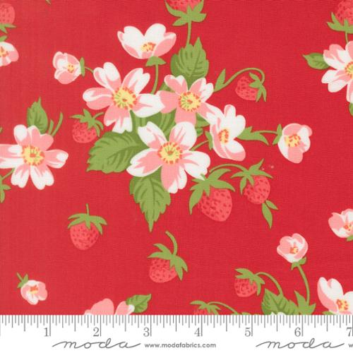 Bloomsberry / In Bloom in Red