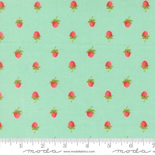 Bloomsberry / Berries in Aqua