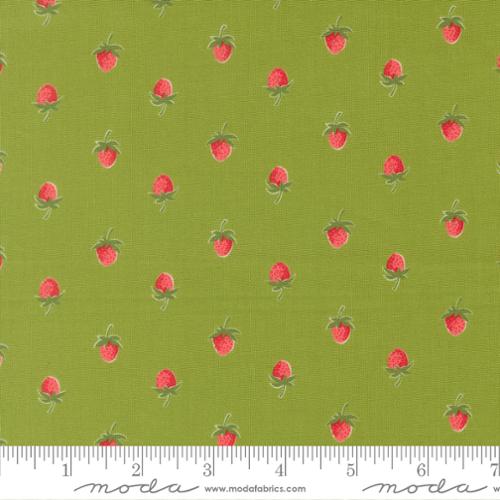 Bloomsberry / Berries in Leaf