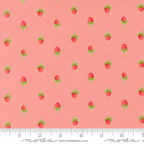 Bloomsberry / Berries in Blush