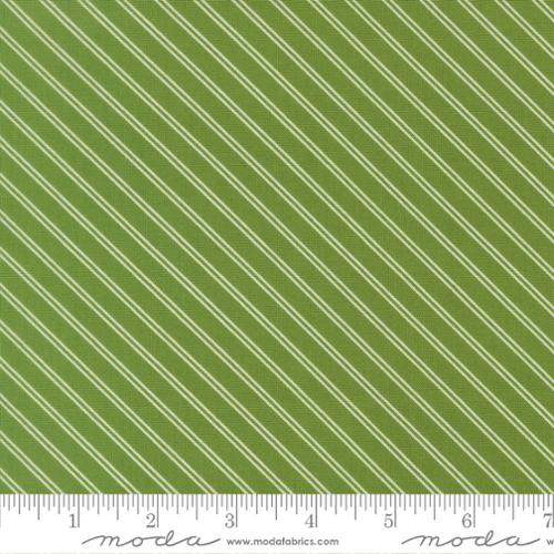 Bloomsberry / Stripes in Green