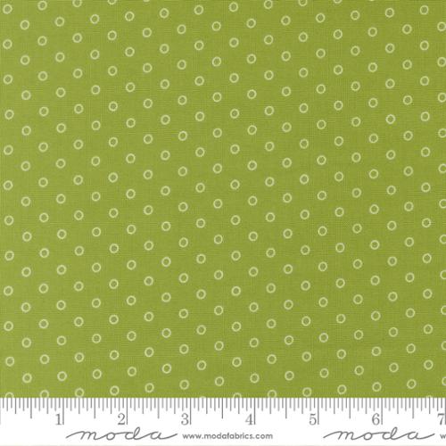 Bloomsberry / Favorite Dot Dots in Leaf