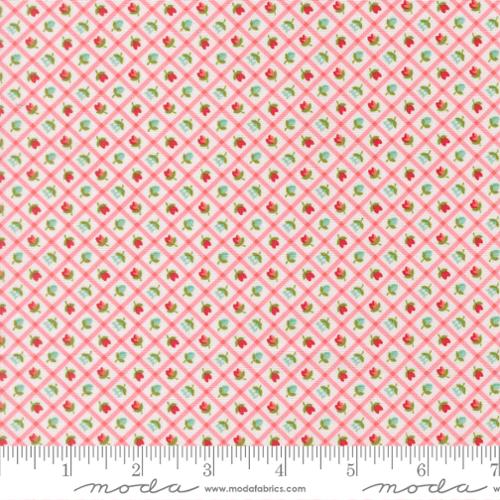 Bloomsberry / Flower Checks in Blush