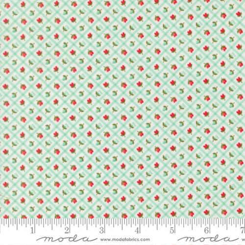Bloomsberry / Flower Checks in Aqua