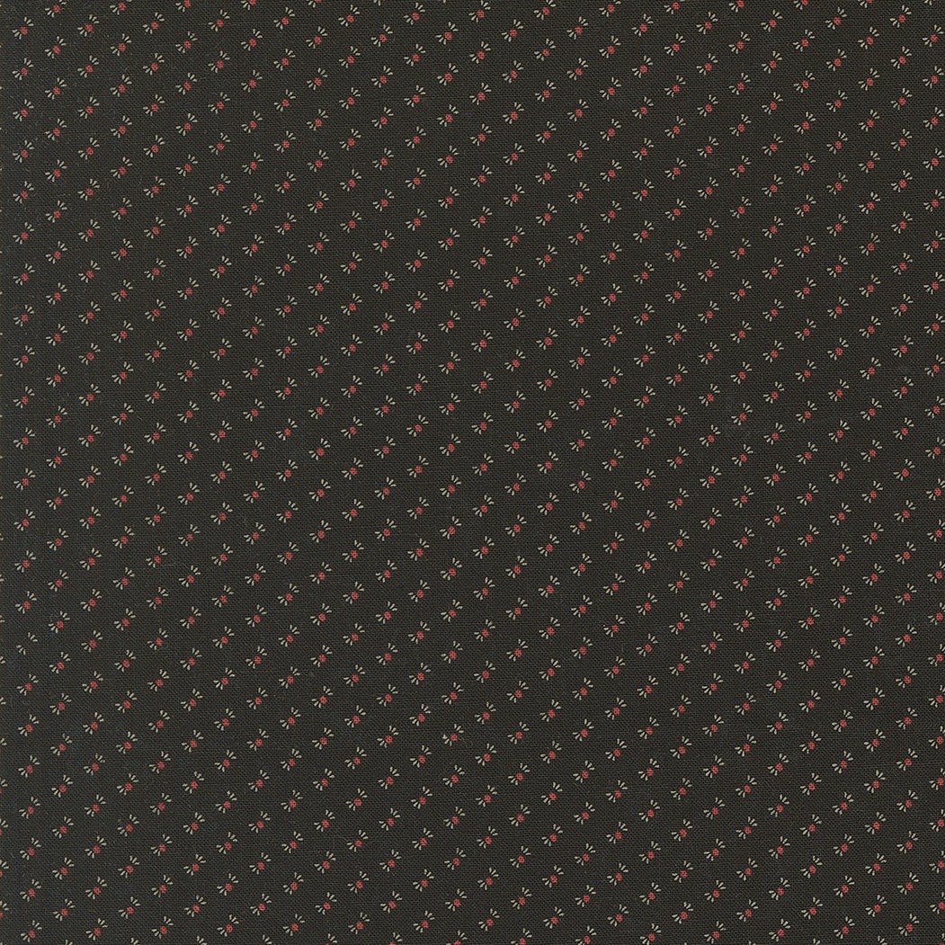 Wheatland / Wildflower Seeds in Slate