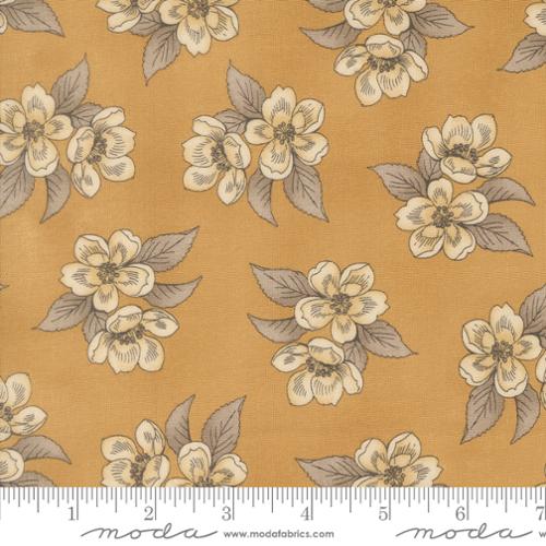 Magnolia / Blooms in Golden