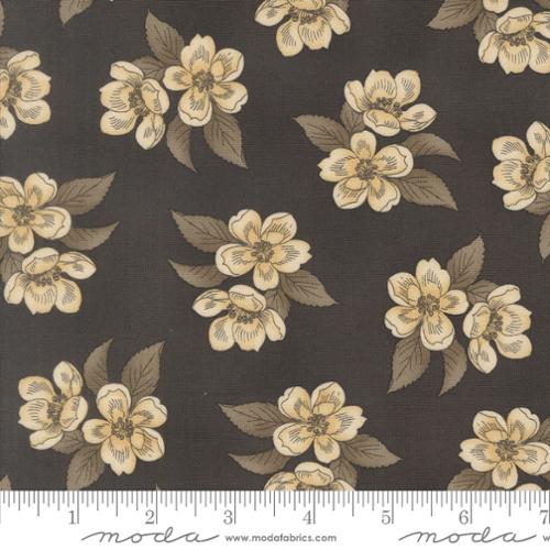 Magnolia / Blooms in Charcoal