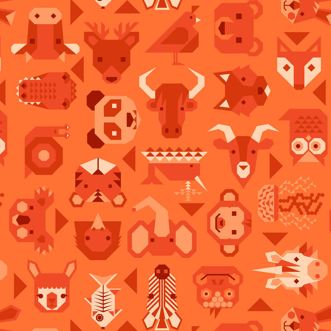 Animal Alphabet / Animals on Orange