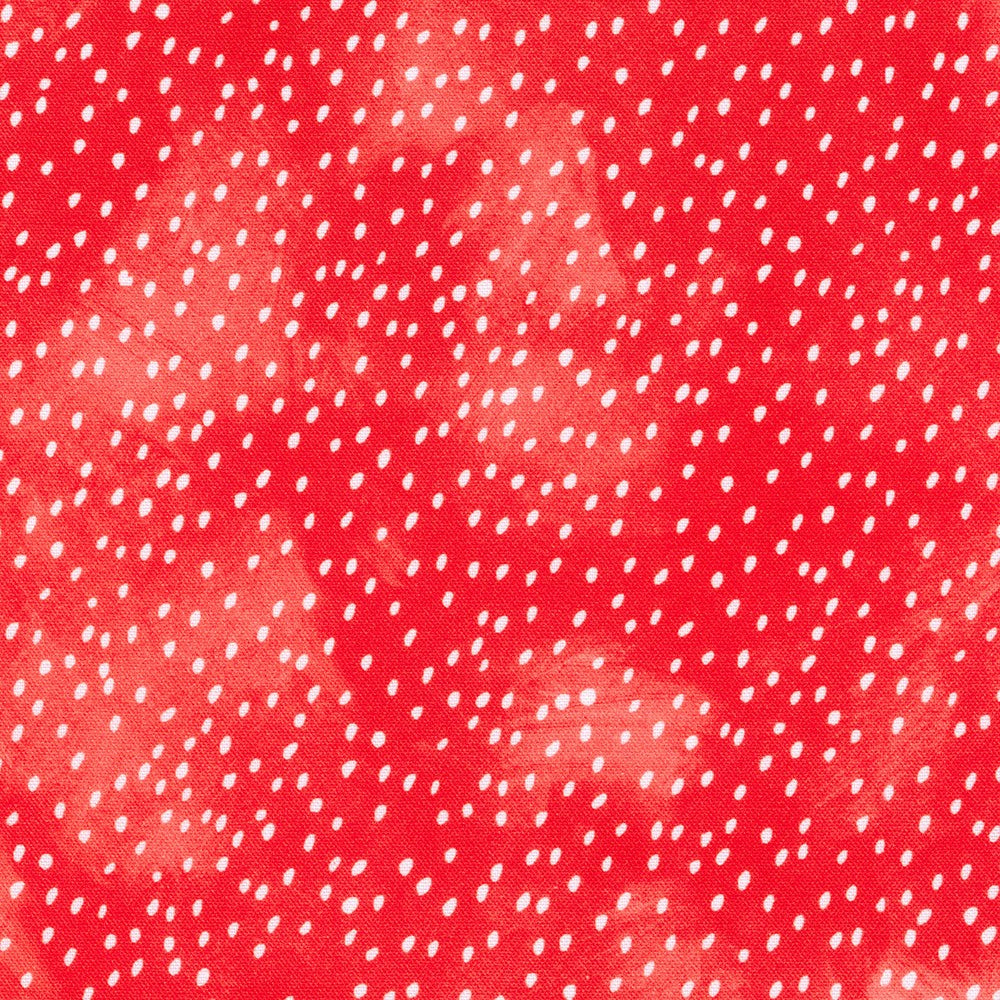 Strawberry Season / Strawberry Seeds on Red