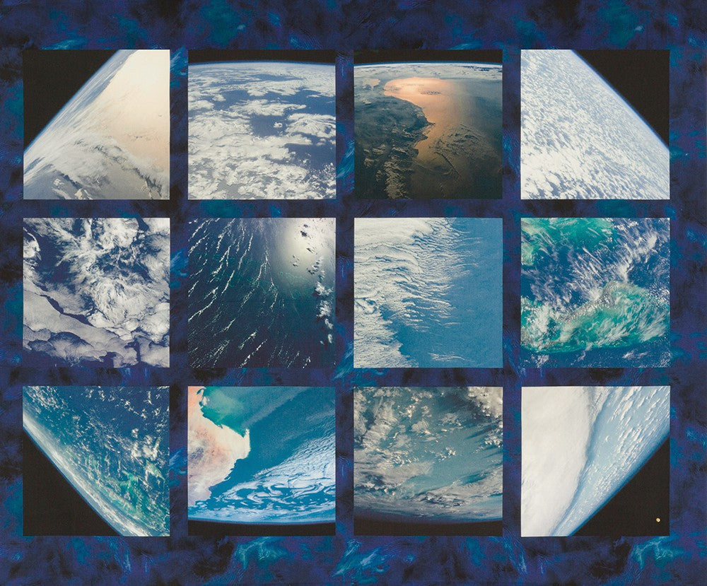 Earth Views: Oceans Panel — Poppy Quilt N Sew
