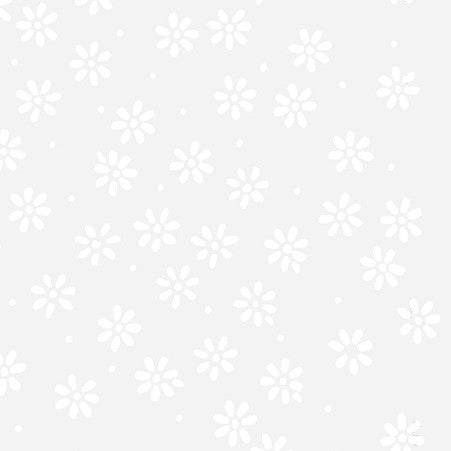 BeColourful Blush / Ditzy Daisy in Sparkling White