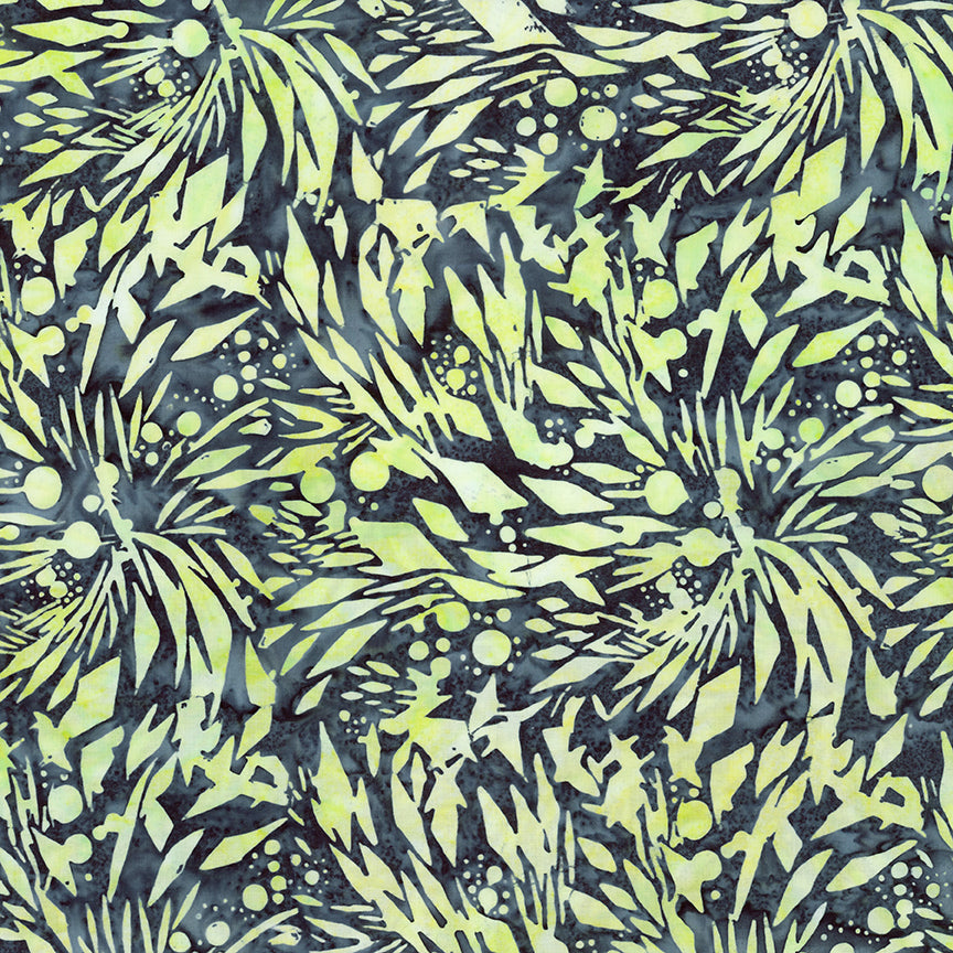 Splatter / City Lites