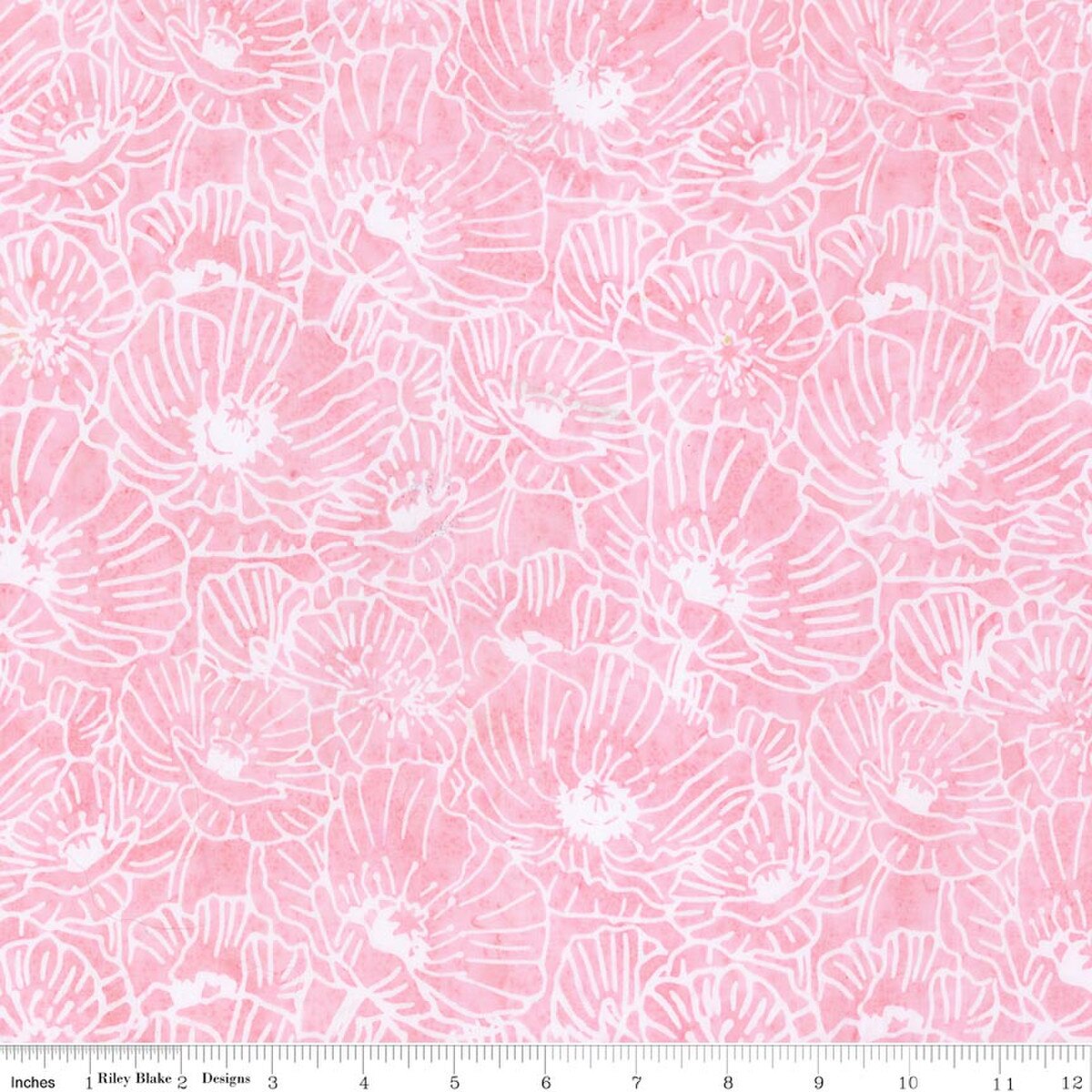 Poppy Seeds / Primrose