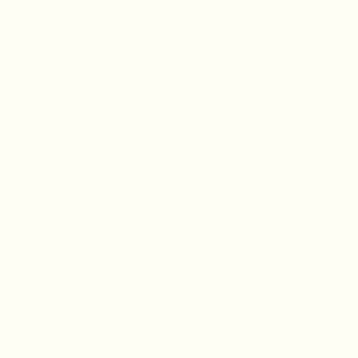 Confetti Cotton™ Solids / Riley White