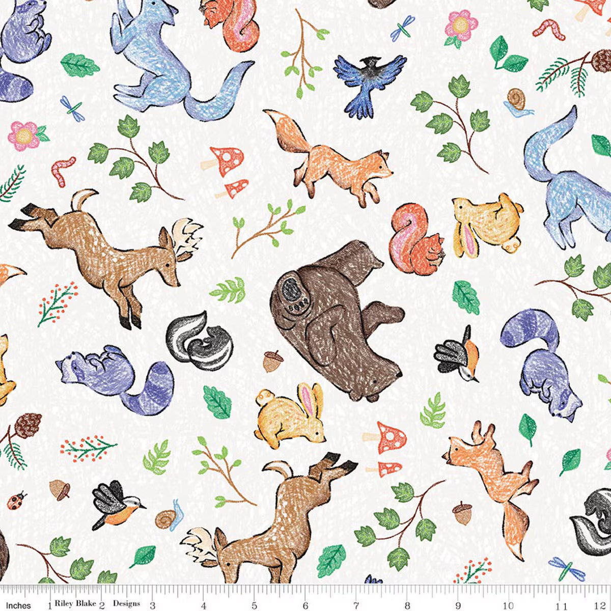 Colorful Critters / Main in White