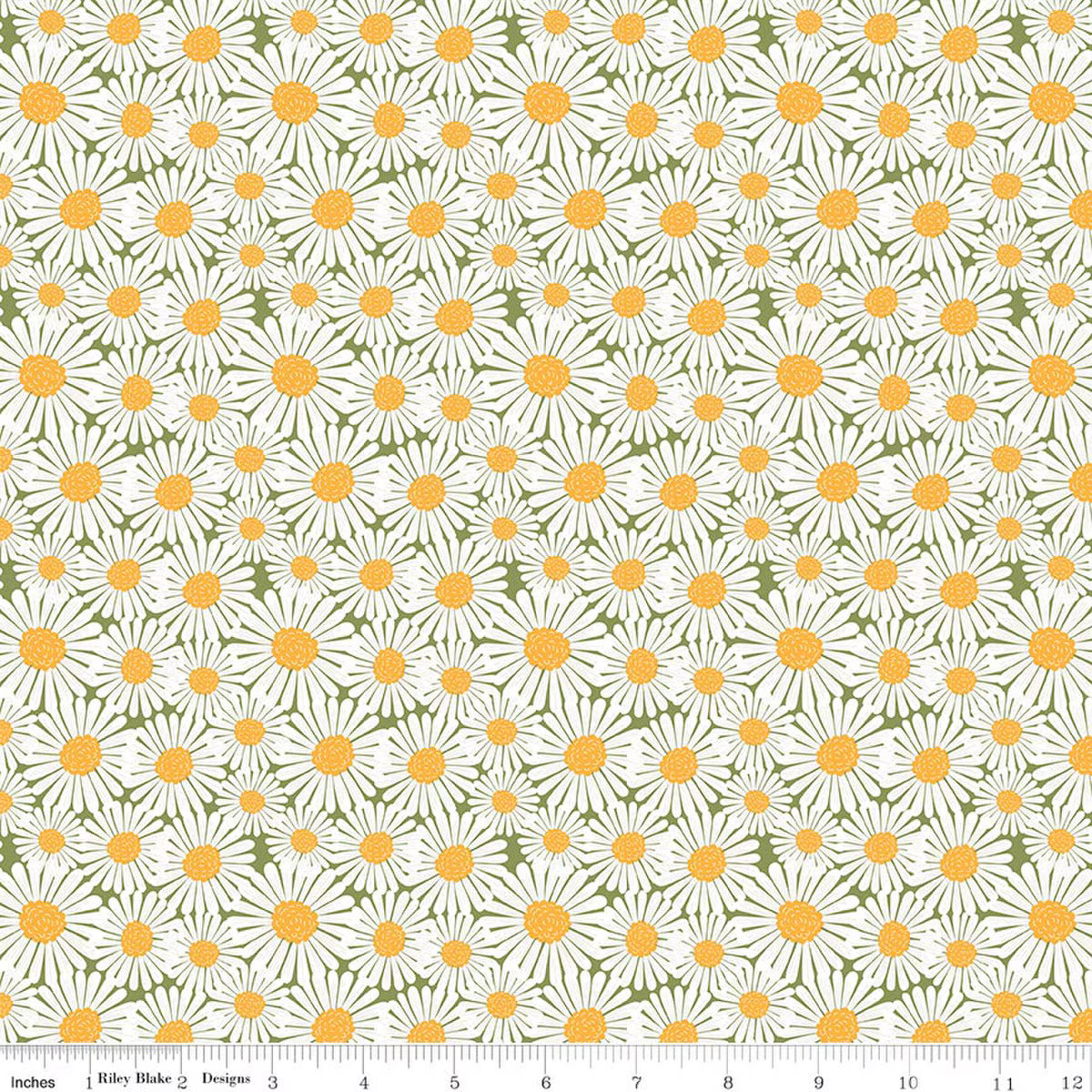 Sunshine & Dandelions / Daisies in Green
