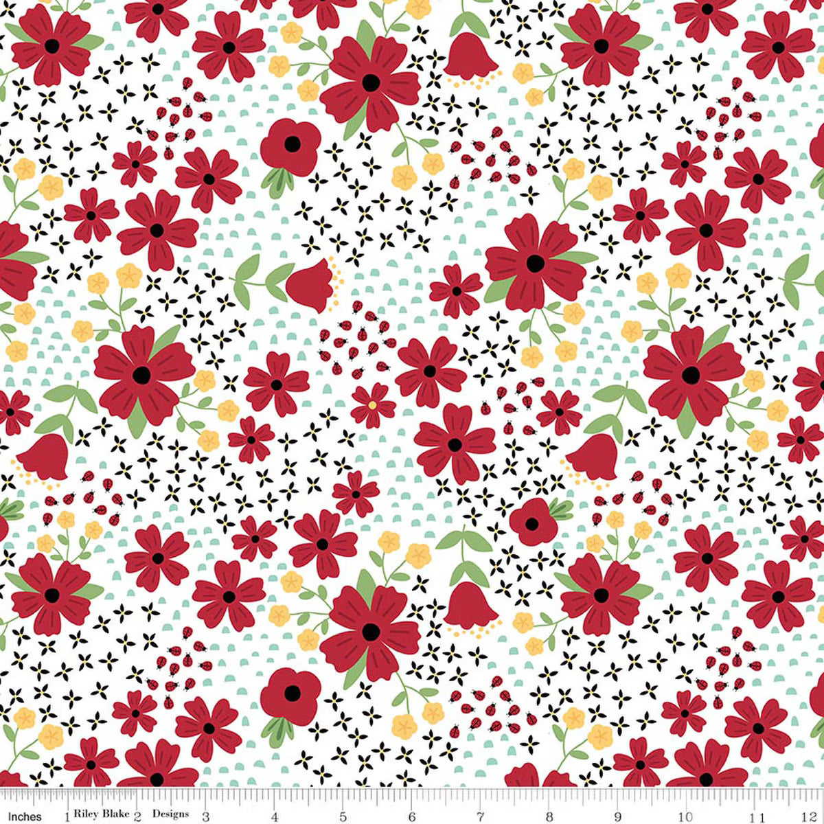 Little Ladybug / Main in White